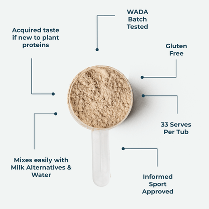 Scoop of plant protein chocoalte powder